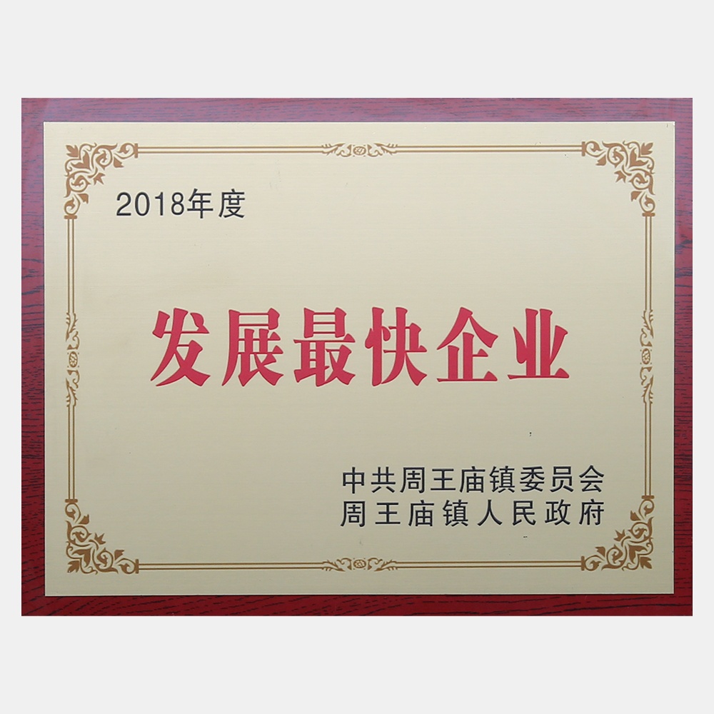 2018年度发展最快企业