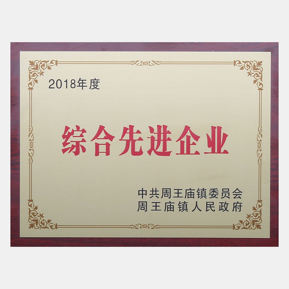 2018年度综合先进企业