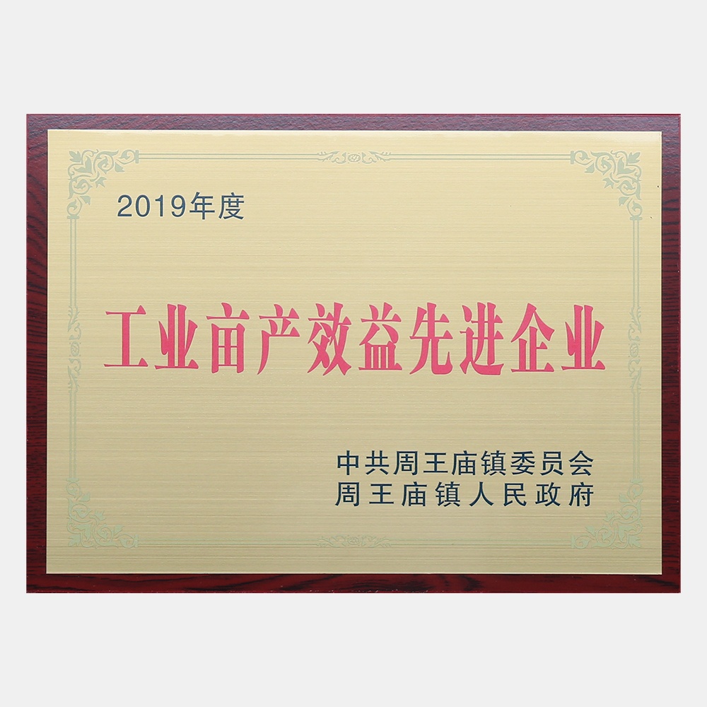 2019年度工业亩产效益先进企业