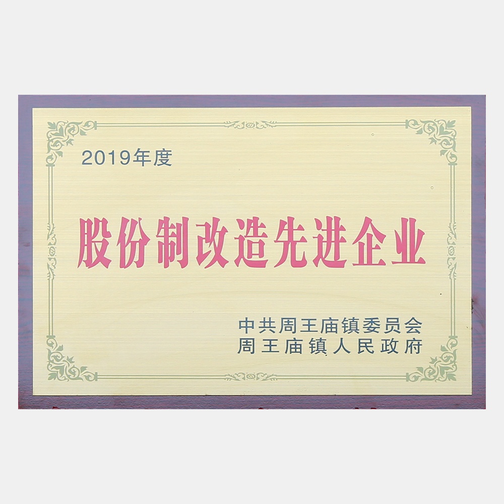 2019年度股份制改造先进企业