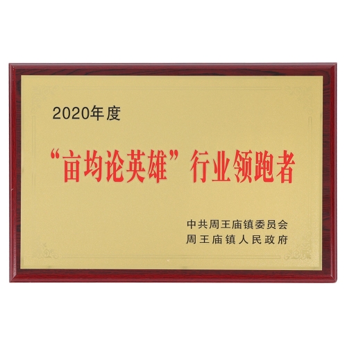 2020亩均论英雄行业领跑者